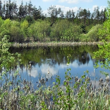 green, Spring, lake