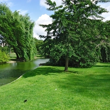 green, Park, River