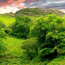 Green, Valley, trees, viewes, rocks