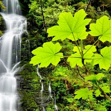waterfall, green