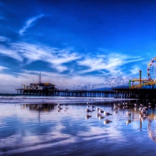 gulls, pier, Beaches