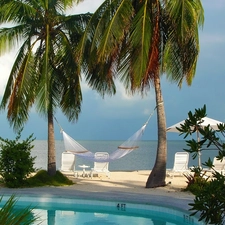 Hammock, Beaches, Palms