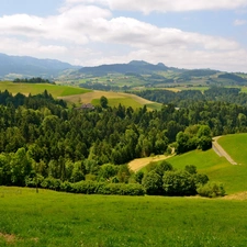 hills, Meadow, forest