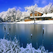 winter, lake, Home, little doggies