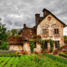 Garden, Old car, house