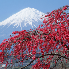 Fuji, Japan