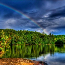 forest, Great Rainbows, lake