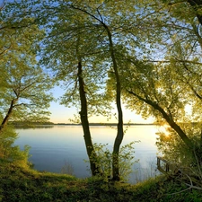 trees, branch pics, lake, viewes