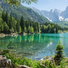 lake, Mountains, woods