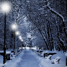 viewes, Park, lanterns, winter, bench, trees