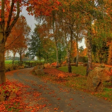 bridges, Park, Leaf, autumn, alley, River