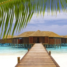 Houses, sea, Leaf, Platform