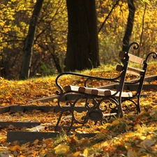 Park, autumn, Leaf, Bench