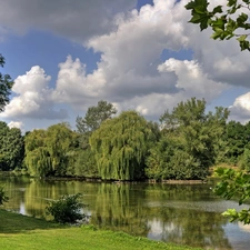 water, viewes, Leaf, trees