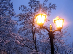 Lighthouse, winter, trees, viewes, Snowy