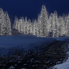 luminous, forest, snow, drifts, brook