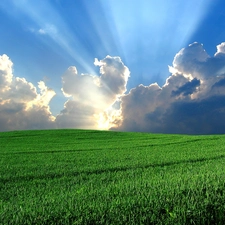 clearance, clouds, Meadow, sun