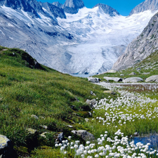 Meadow, Spring, Mountains