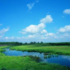 River, Meadow