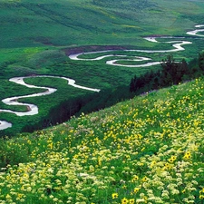 River, Meadow