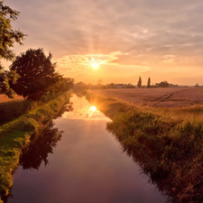 brook, sun, morning, rays