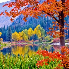autumn, lake, Mountains, Park