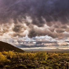 Mountains, clouds, Cactus