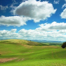 trees, panorama, Mountains, clouds, viewes, field