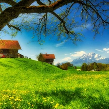 Mountains, medows, Farms