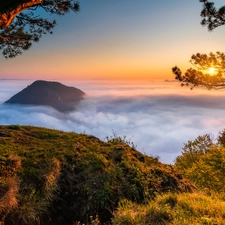 trees, viewes, Fog, rays of the Sun, Mountains