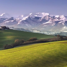 Meadow, Mountains