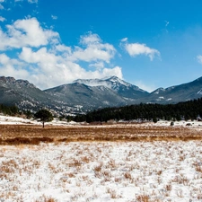 Mountains, plain, trees