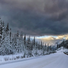 winter, woods, Mountains, Way