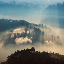 Mountains, woods, sun, Fog, rays