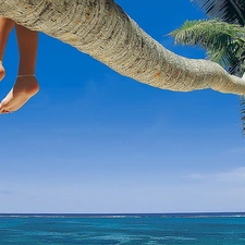 Palm, legs, Beaches