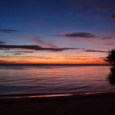 west, sea, Palm, sun