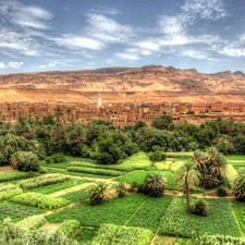 Mountains, crops, Palms, Town