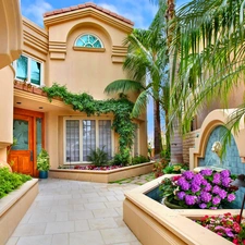 patio, Flowers, Palms, house