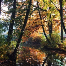 Autumn, Park