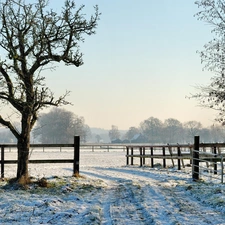 pasture, winter, Meadow