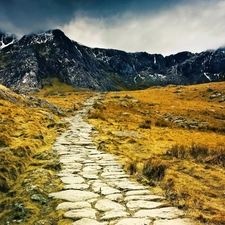 Path, Mountains, Meadow