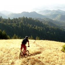 woods, Mountains, car in the meadow, Path, cyclist