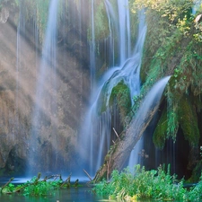 Plants, waterfall, Rocks