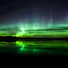 Polaris, forest, lake, dawn, Sky