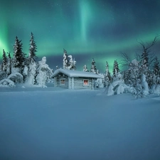 trees, viewes, aurora polaris, Home, winter