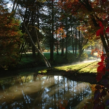 viewes, Przebijające, luminosity, ligh, flash, trees, Park, sun