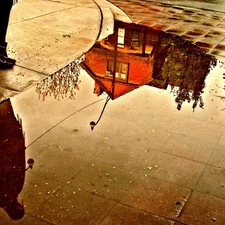 puddle, reflection, Womens