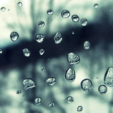 Rain, drops, water
