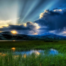rays, swamp, clouds