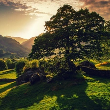 rays, sun, Mountains, woods, medows